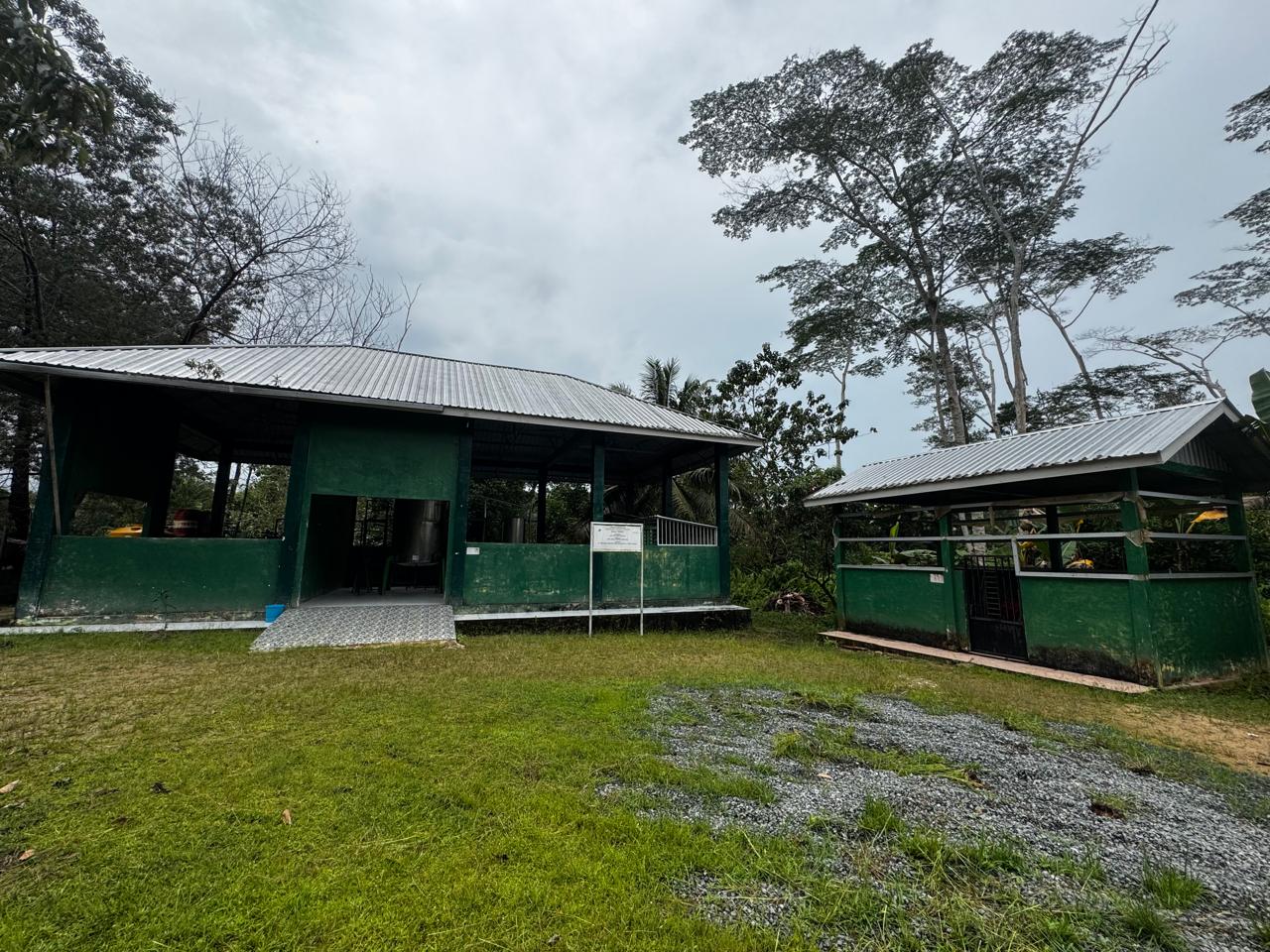 Warehouse for processing eucalyptus material